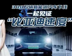 利兹联球队怎么样